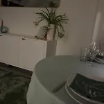 Altstadtnest *
