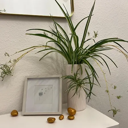 Altstadtnest Apartamento Greifswald