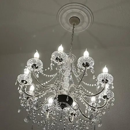 Altstadtnest Greifswald