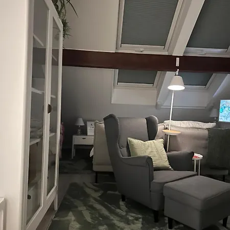 Altstadtnest Greifswald