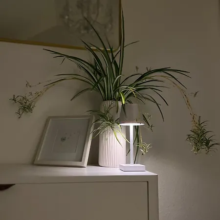 Altstadtnest Apartamento